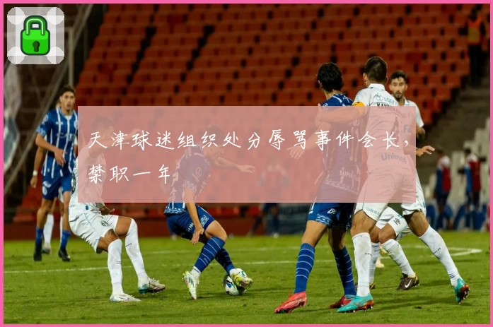 天津球迷组织处分辱骂事件会长，禁职一年