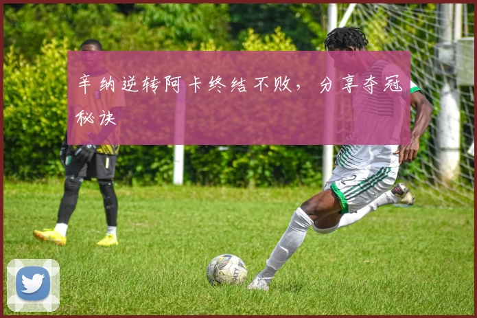 辛纳逆转阿卡终结不败，分享夺冠秘诀